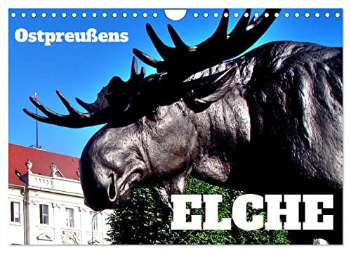 Ostpreußens Elche (Wandkalender 2026 DIN A4 quer), CALVENDO Monatskalender von CALVENDO