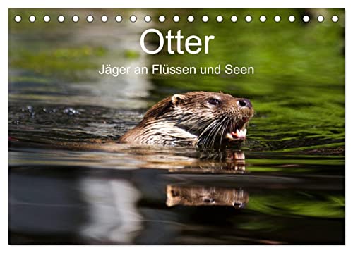 Otter - Jäger an Flüssen und Seen (Tischkalender 2025 DIN A5 quer), CALVENDO Monatskalender: Otter - geschickte Jäger im Wasser (CALVENDO Tiere) von Calvendo