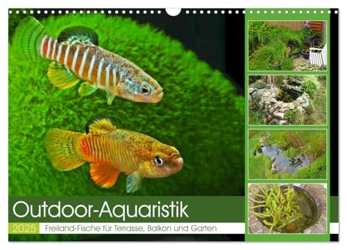 Outdoor-Aquaristik (Wandkalender 2025 DIN A3 quer), CALVENDO Monatskalender von CALVENDO
