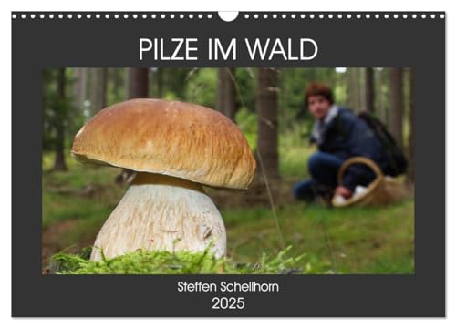 PILZE IM WALD (Wandkalender 2025 DIN A3 quer), CALVENDO Monatskalender von CALVENDO