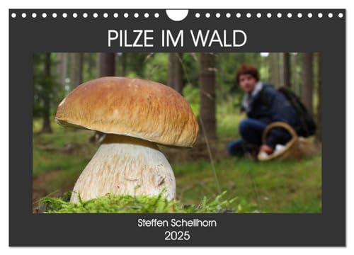 PILZE IM WALD (Wandkalender 2025 DIN A4 quer), CALVENDO Monatskalender von CALVENDO