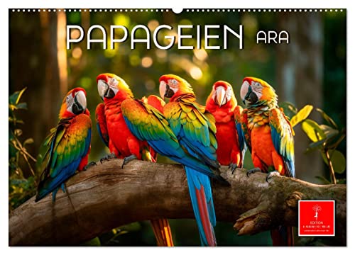 Papageien - Ara (Wandkalender 2025 DIN A2 quer), CALVENDO Monatskalender von CALVENDO