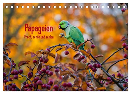 Papageien - Frech, schön und schlau (Tischkalender 2025 DIN A5 quer), CALVENDO Monatskalender von CALVENDO