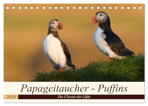 Papageitaucher - Puffins (Tischkalender 2025 DIN A5 quer), CALVENDO Monatskalender von CALVENDO