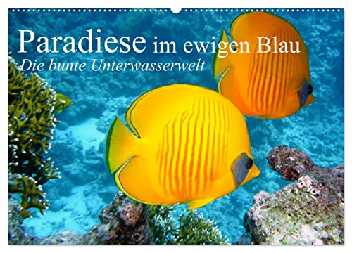 Paradiese im ewigen Blau. Die bunte Unterwasserwelt (Wandkalender 2026 DIN A2 quer), CALVENDO Monatskalender: Das bunte Treiben der schönen Lebewesen unter Wasser (CALVENDO Tiere) von Calvendo