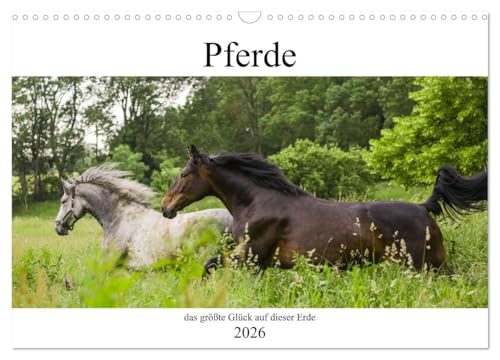 Pferde, das größte Glück auf dieser Erde (Wandkalender 2026 DIN A3 quer), CALVENDO Monatskalender von CALVENDO