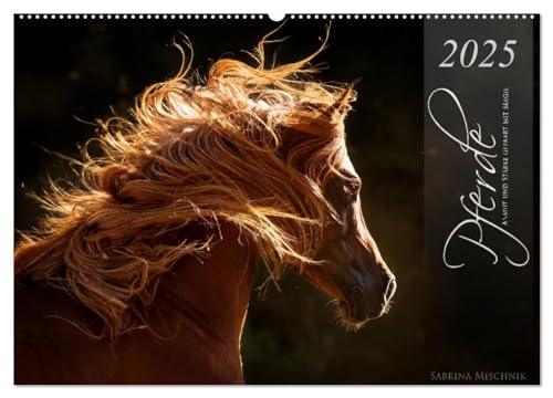 Pferde - Anmut und Stärke gepaart mit Magie (Wandkalender 2025 DIN A2 quer), CALVENDO Monatskalender von CALVENDO