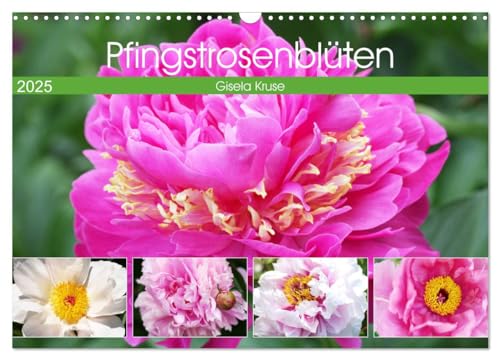 Pfingstrosenblüten (Wandkalender 2025 DIN A3 quer), CALVENDO Monatskalender von CALVENDO