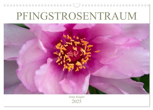 Pfingstrosentraum (Wandkalender 2025 DIN A3 quer), CALVENDO Monatskalender von CALVENDO