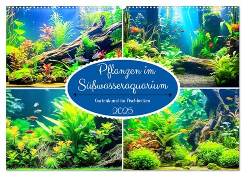 Pflanzen im Süßwasseraquarium. Gartenkunst im Fischbecken (Wandkalender 2025 DIN A2 quer), CALVENDO Monatskalender von CALVENDO