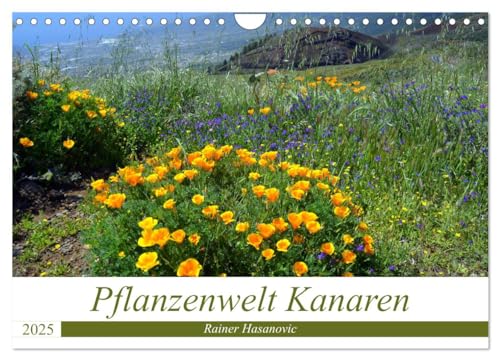 Pflanzenwelt Kanaren (Wandkalender 2025 DIN A4 quer), CALVENDO Monatskalender von CALVENDO