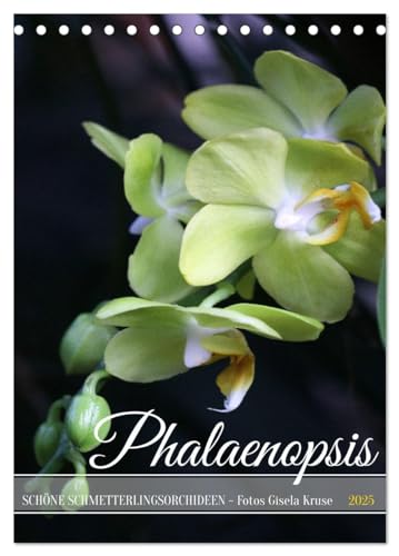Phalaenopsis - Schöne Schmetterlingsorchideen (Tischkalender 2025 DIN A5 hoch), CALVENDO Monatskalender von CALVENDO