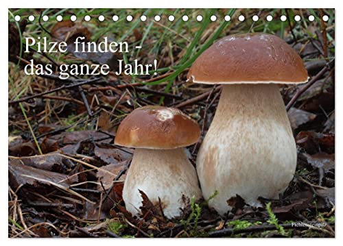 Pilze finden - das ganze Jahr! (Tischkalender 2025 DIN A5 quer), CALVENDO Monatskalender von CALVENDO