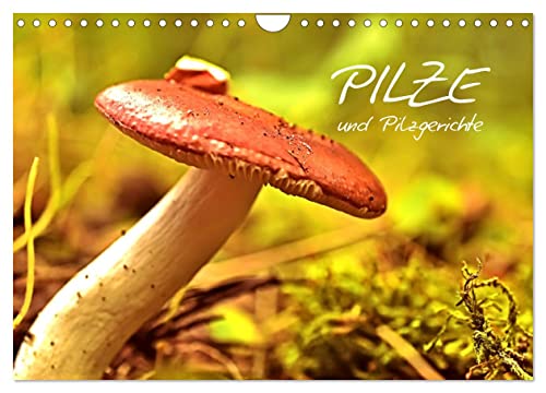 Pilze und Pilzgerichte (Wandkalender 2025 DIN A4 quer), CALVENDO Monatskalender von CALVENDO