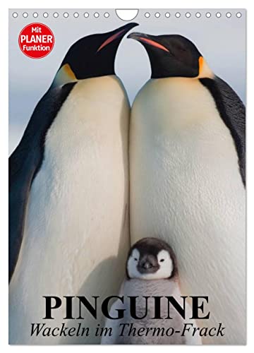 Pinguine. Wackeln im Thermo-Frack (Wandkalender 2025 DIN A4 hoch), CALVENDO Monatskalender von CALVENDO