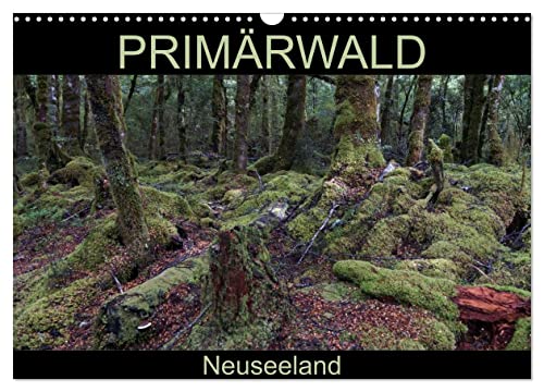 Primärwald - Neuseeland (Wandkalender 2025 DIN A3 quer), CALVENDO Monatskalender von CALVENDO