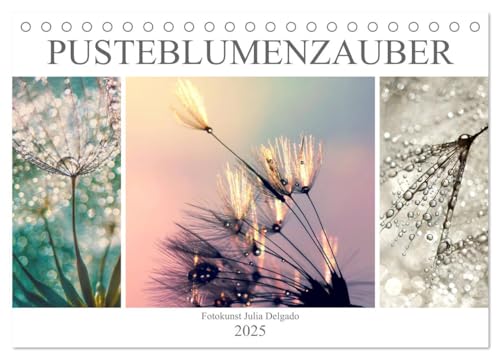 PusteblumenZauber (Tischkalender 2025 DIN A5 quer), CALVENDO Monatskalender von CALVENDO