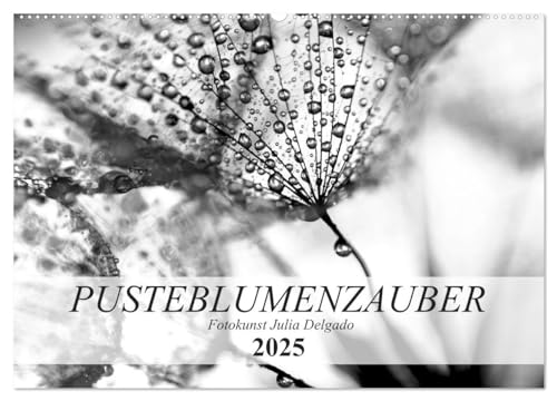 Pusteblumenzauber in schwarzweiß (Wandkalender 2025 DIN A2 quer), CALVENDO Monatskalender von CALVENDO