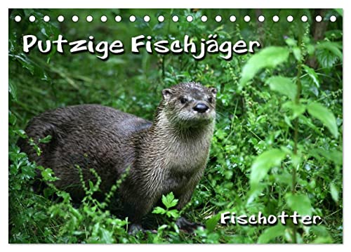 Putzige Fischjäger (Tischkalender 2025 DIN A5 quer), CALVENDO Monatskalender von CALVENDO