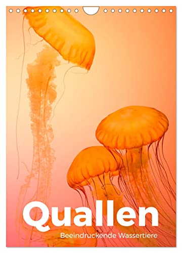 Quallen - Beeindruckende Wassertiere (Wandkalender 2025 DIN A4 hoch), CALVENDO Monatskalender von CALVENDO