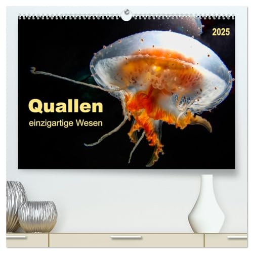 Quallen - einzigartige Wesen (hochwertiger Premium Wandkalender 2025 DIN A2 quer), Kunstdruck in Hochglanz von CALVENDO