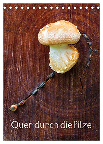 Quer durch die Pilze (Tischkalender 2025 DIN A5 hoch), CALVENDO Monatskalender von CALVENDO