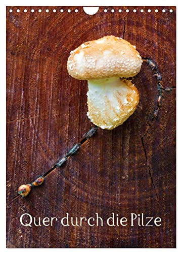 Quer durch die Pilze (Wandkalender 2025 DIN A4 hoch), CALVENDO Monatskalender von CALVENDO