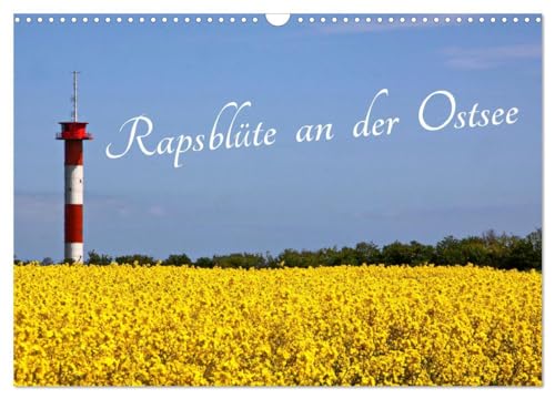 Rapsblüte an der Ostsee (Wandkalender 2026 DIN A3 quer), CALVENDO Monatskalender: Jahreszeit im April - Mai mit Rapsblüte an der Ostsee (CALVENDO Natur) von CALVENDO