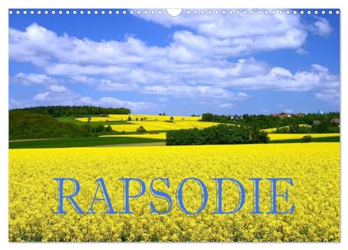 Rapsodie (Wandkalender 2026 DIN A3 quer), CALVENDO Monatskalender: Rapsfelder zählen bei Naturfotografen zu den beliebtesten Fotomotive. Dieser ... die Frage nach dem "warum"! (CALVENDO Natur) von Calvendo