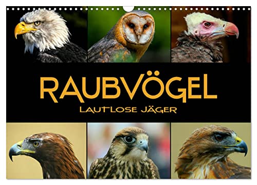 Raubvögel - lautlose Jäger (Wandkalender 2025 DIN A3 quer), CALVENDO Monatskalender von CALVENDO