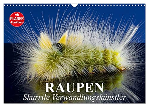 Raupen. Skurrile Verwandlungskünstler (Wandkalender 2025 DIN A3 quer), CALVENDO Monatskalender von CALVENDO
