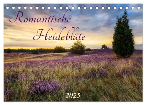 Romantische Heideblüte (Tischkalender 2025 DIN A5 quer), CALVENDO Monatskalender von CALVENDO