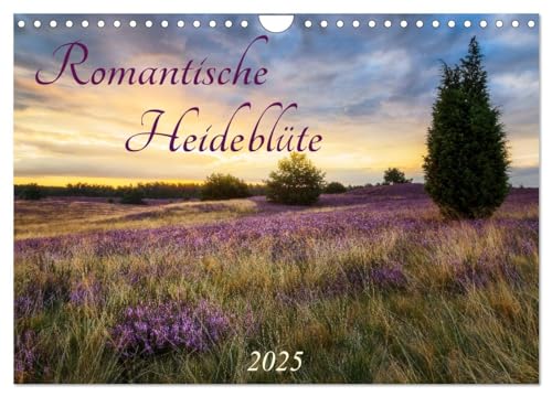 Romantische Heideblüte (Wandkalender 2025 DIN A4 quer), CALVENDO Monatskalender von CALVENDO