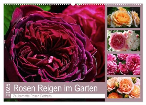 Rosen Reigen im Garten (Wandkalender 2025 DIN A2 quer), CALVENDO Monatskalender von CALVENDO