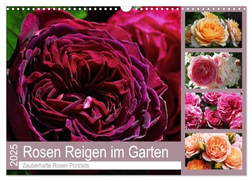 Rosen Reigen im Garten (Wandkalender 2025 DIN A3 quer), CALVENDO Monatskalender von CALVENDO