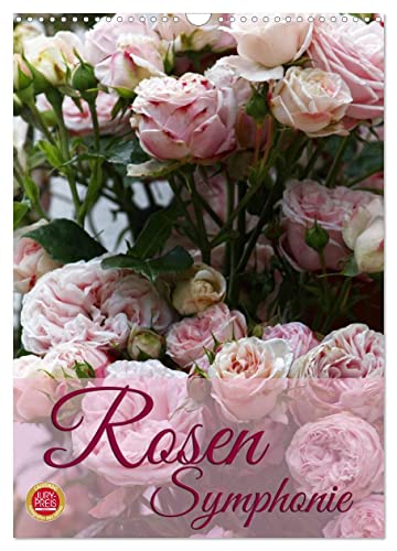 Rosen Symphonie (Wandkalender 2025 DIN A3 hoch), CALVENDO Monatskalender von CALVENDO