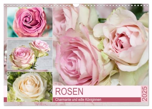 Rosen. Charmante und edle Königinnen (Wandkalender 2025 DIN A3 quer), CALVENDO Monatskalender von CALVENDO