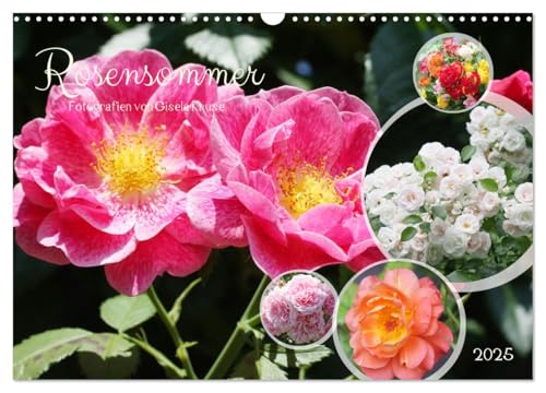 Rosensommer (Wandkalender 2025 DIN A3 quer), CALVENDO Monatskalender von CALVENDO
