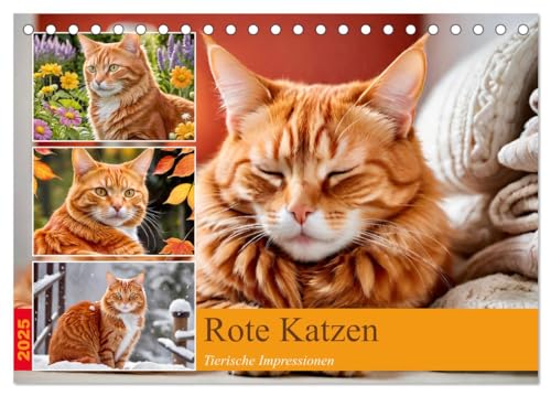 Rote Katzen (Tischkalender 2025 DIN A5 quer), CALVENDO Monatskalender von CALVENDO
