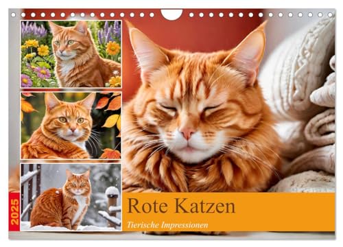 Rote Katzen (Wandkalender 2025 DIN A4 quer), CALVENDO Monatskalender von CALVENDO
