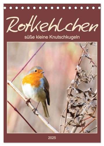 Rotkehlchen, süße kleine Knutschkugeln (Tischkalender 2025 DIN A5 hoch), CALVENDO Monatskalender von CALVENDO