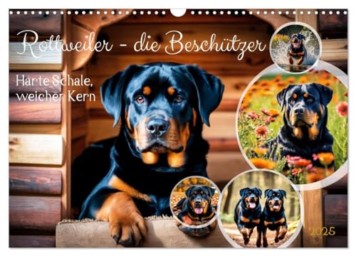 Rottweiler - die Beschützer (Wandkalender 2025 DIN A3 quer), CALVENDO Monatskalender