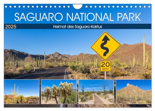 SAGUARO NATIONAL PARK Heimat des Saguaro-Kaktus (Wandkalender 2025 DIN A4 quer), CALVENDO Monatskalender von CALVENDO
