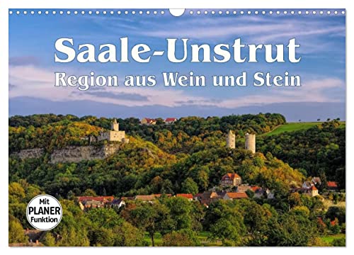 Saale-Unstrut - Region aus Wein und Stein (Wandkalender 2025 DIN A3 quer), CALVENDO Monatskalender von CALVENDO