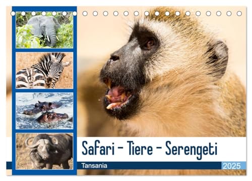 Safari - Tiere - Serengeti (Tischkalender 2025 DIN A5 quer), CALVENDO Monatskalender: Wunderbare Tierwelt der Serengeti in Tansania (CALVENDO Tiere) von Calvendo
