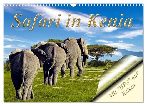 Safari in Kenia (Wandkalender 2026 DIN A3 quer), CALVENDO Monatskalender: Ein Safariabenteuer in Kenia. (CALVENDO Orte) von Calvendo
