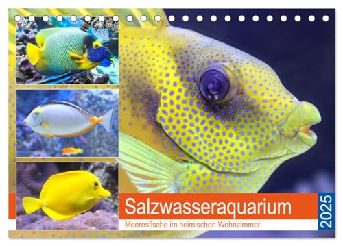 Salzwasseraquarium. Meeresfische im heimischen Wohnzimmer (Tischkalender 2025 DIN A5 quer), CALVENDO Monatskalender von CALVENDO