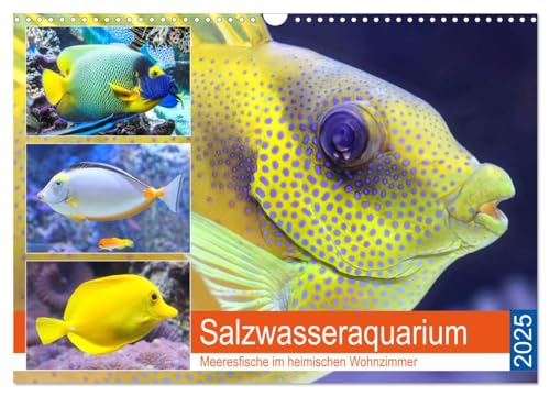 Salzwasseraquarium. Meeresfische im heimischen Wohnzimmer (Wandkalender 2025 DIN A3 quer), CALVENDO Monatskalender von CALVENDO