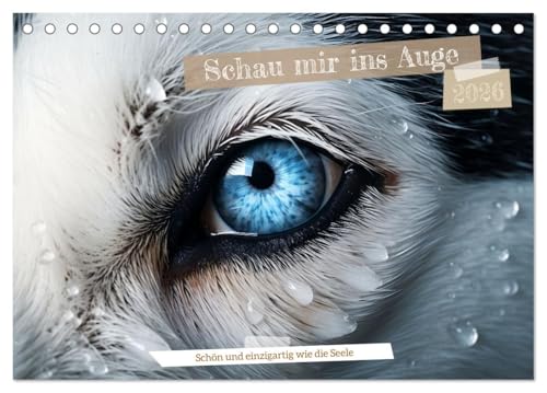 Schau mir ins Auge (Tischkalender 2026 DIN A5 quer), CALVENDO Monatskalender von CALVENDO