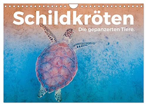 Schildkröten - Die gepanzerten Tiere. (Wandkalender 2025 DIN A4 quer), CALVENDO Monatskalender von CALVENDO